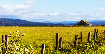 Find Cheap Flights from Arcata-Eureka (ACV)