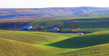 Find Cheap Flights from Dublin to Walla Walla (DUB to ALW)