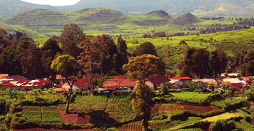 Find Cheap Flights from Bari to Bandung (BRI to BDO)