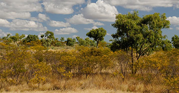 Flights to Cloncurry Airport (CNJ)