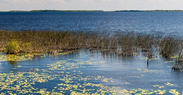 Find Cheap Flights from Edinburgh to Corrientes (EDI to CNQ)