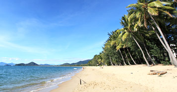 Find Cheap Flights from Auckland to Cairns (AKL to CNS)