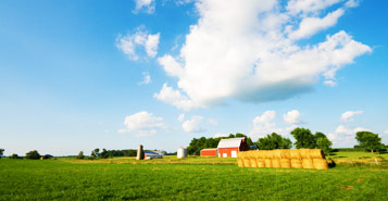 Find Cheap Flights from Fort Myers to Evansville (FMY to EVV)