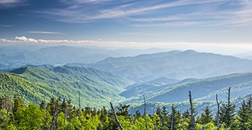 Find Cheap Flights from Los Angeles to Greenville (LAX to GCY)