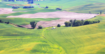 Find Cheap Flights from Spokane (GEG)