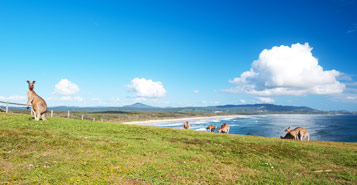 Cheap Flights to Gladstone ()