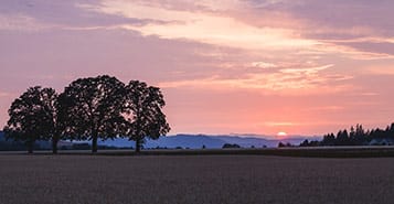 Find Cheap Flights from Edinburgh to Hillsboro (EDI to HIO)