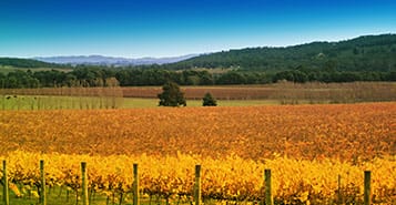 Find Cheap Flights from Bilbao to Hooker Creek (BIO to HOK)