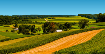 Find Cheap Flights from Lubbock to Williamsport (LBB to IPT)