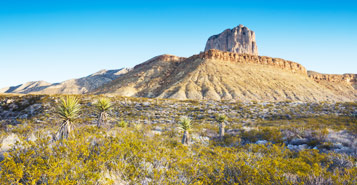Find Cheap Flights from Lubbock (LBB)