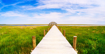 Find Cheap Flights from Monroe (MLU)