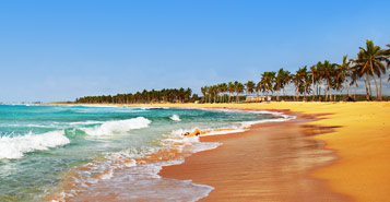 Find Cheap Flights from Dublin to Kamuela (DUB to MUE)