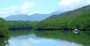 Find Cheap Flights from Vancouver to Puerto Princesa (YVR to PPS)