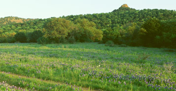 Find Cheap Flights from Dublin to Wichita Falls (DUB to SPS)