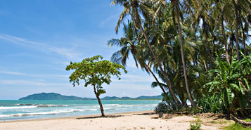 Find Cheap Flights from Dublin to Tamarindo (DUB to TNO)