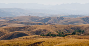 Find Cheap Flights from San Francisco to Antananarivo (SFO to TNR)