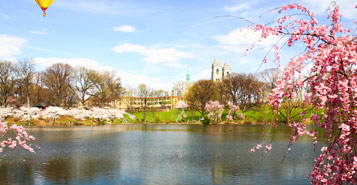 Find Cheap Flights from Bloomington-Normal to Trenton-Mercer (BMI to TTN)