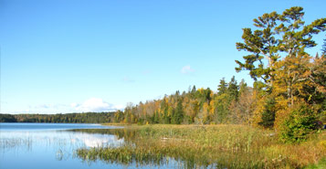 Find Cheap Flights from Baltimore to Thief River Falls (BWI to TVF)
