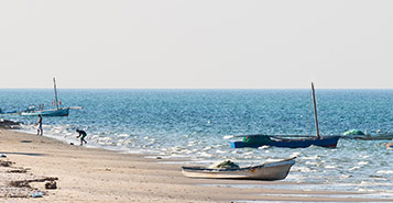 Find Cheap Flights from New York City to Vilanculos (NYC to VNX)