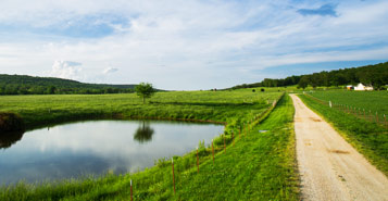 Find Cheap Flights from Bentonville (XNA)