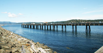 Find Cheap Flights from Lethbridge to Campbell River (YQL to YBL)