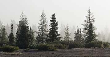 Book Cheap Flights to Kuujjuaq (YVP)