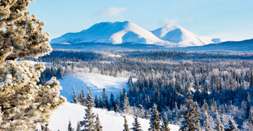 Book Cheap Flights from Whitehorse (YXY)