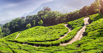 Vuelos baratos a  Sylhet (ZYL)
