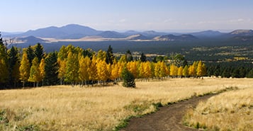 Book Mountain View Inn Hotels