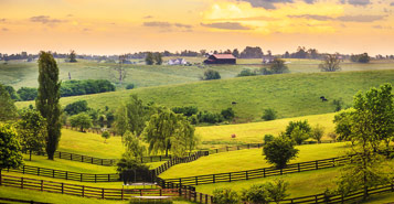 Book Baymont By Wyndham Paducah Hotels