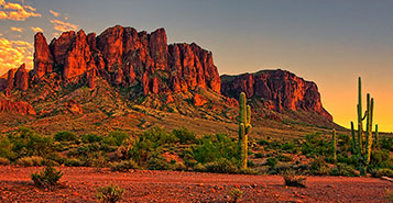 Book Hilton Phoenix Resort At The Peak Hotels