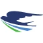 Qanot Sharq Airlines